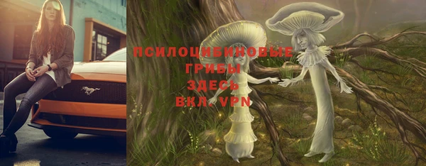 jwh Аркадак